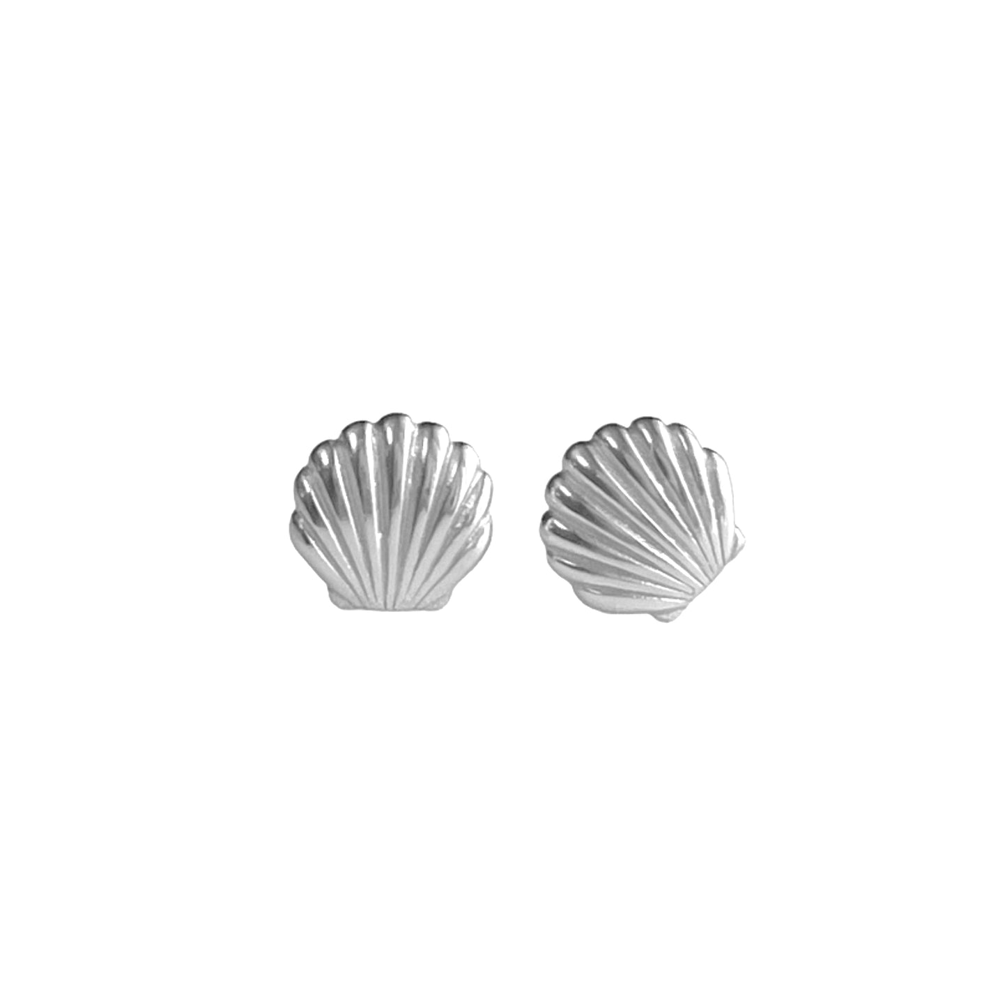 SEA SHELL EARRINGS